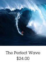 The Perfect Wave Poster